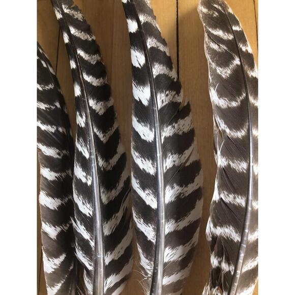 Other - WILD TURKEY FEATHER Real Foraged Massachusetts 9 - 12 inch Set of three feathers
